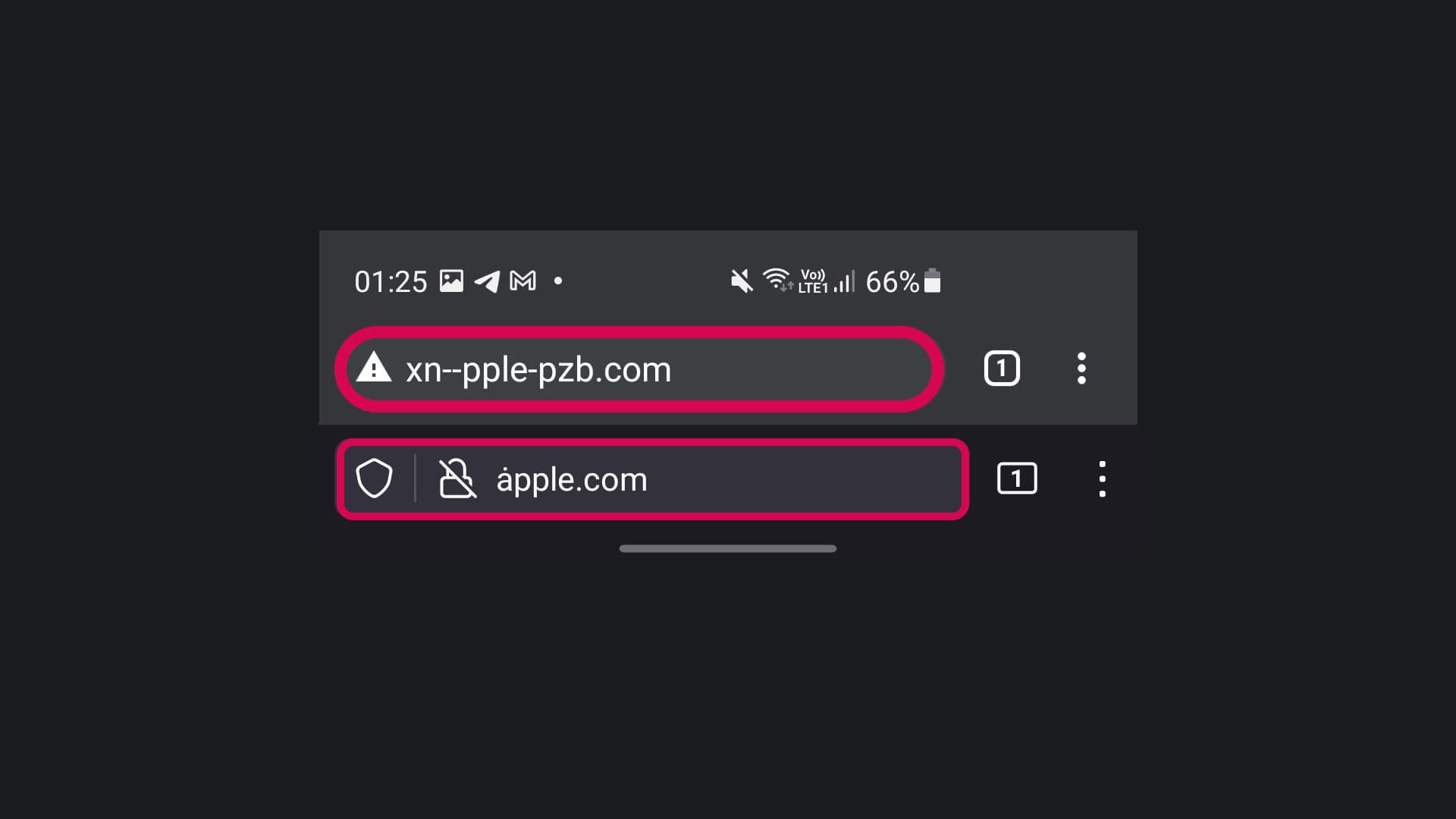 IDN homograph attack - Domain Spoofing
